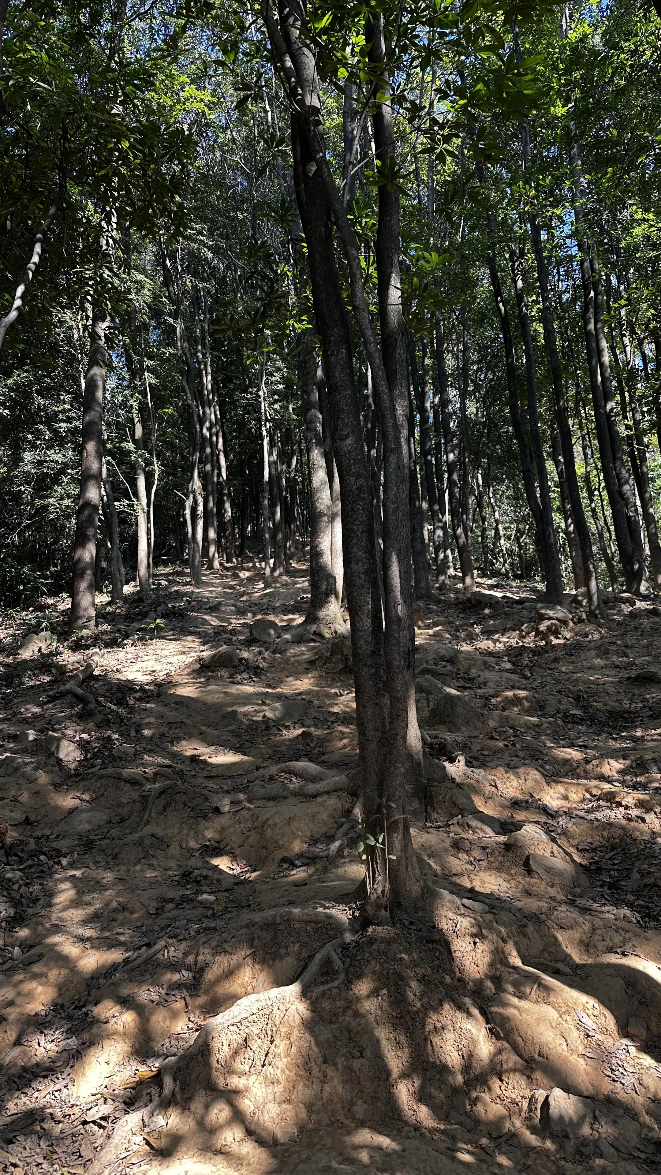 路況
